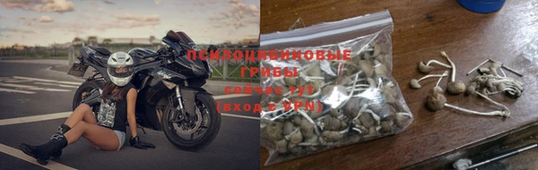 хмурый Арсеньев