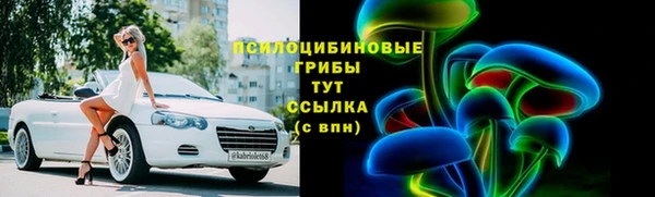 хмурый Арсеньев