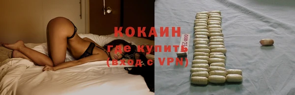 хмурый Арсеньев