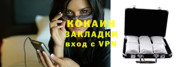 хмурый Арсеньев