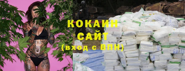 крисы Аркадак