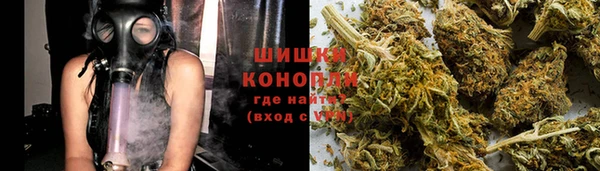 крисы Няндома