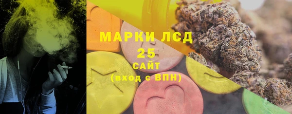 хмурый Арсеньев