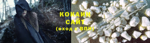 крисы Аркадак
