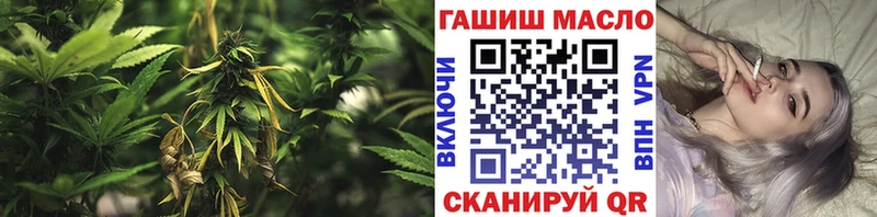 ТГК Wax магазин продажи Полярные Зори