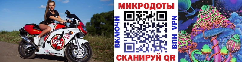 OMG ТОР  Полярные Зори  Галлюциногенные грибы Psilocybine cubensis 